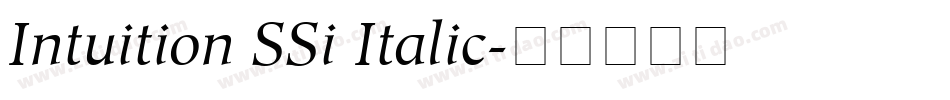 Intuition SSi Italic字体转换